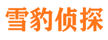 长宁区市侦探调查公司